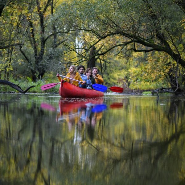 gemenci_kenutúra,_szekszárdi_borvidék