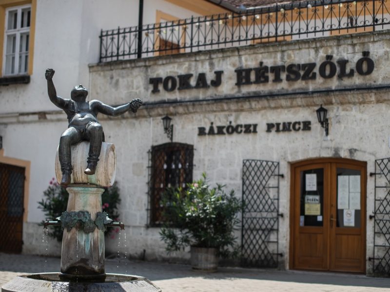 rákóczi_pince,_tokaj-hétszőlő_birtok,_tokaji_borvidék_2